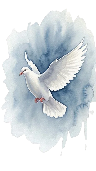 dove